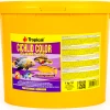 Tropical Cichlid Color XXL 5000ml