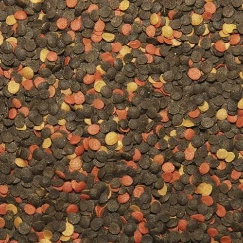 Tropical Malawi Chips 5000ml 2 Tropical Malawi Chips 5000ml - immagine 2