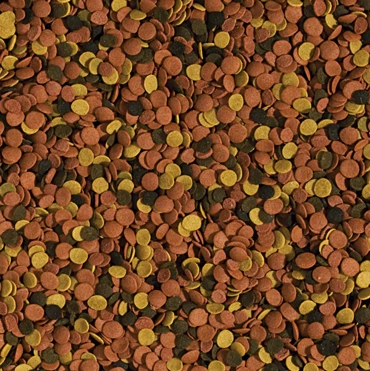 Tropical SuperVit Chips 1000ml 2 Tropical SuperVit Chips 1000ml - immagine 2