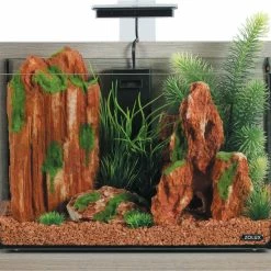 Zolux Assortimento Di 6 Piante Artificiali Plantkit IDRO - N ° 3 -Acquaristica negozio la 13402522a2b2726fb0a03bb19f2d8d9524d1576770998