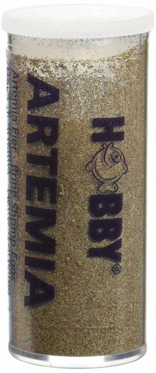 Hobby Uova Di Artemia 1 Hobby Uova Di Artemia