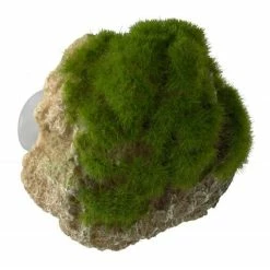 Decoro AQUA DELLA MOSS STONE -S- 12x9,5x10,5cm