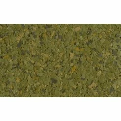 Tetra Tetra Phyll Pesci Erbivori -Acquaristica negozio la 22b6d767d2f8ed5d21a44b0e5886680cb91581688645