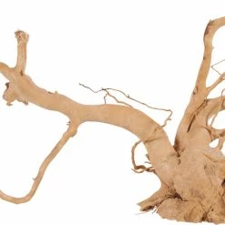 Zolux Radici Ragno Per Acquario - Diverse Taglie Disponibili -Acquaristica negozio la 2449188905e74c28e489b44e954ec0b9bca1626782262