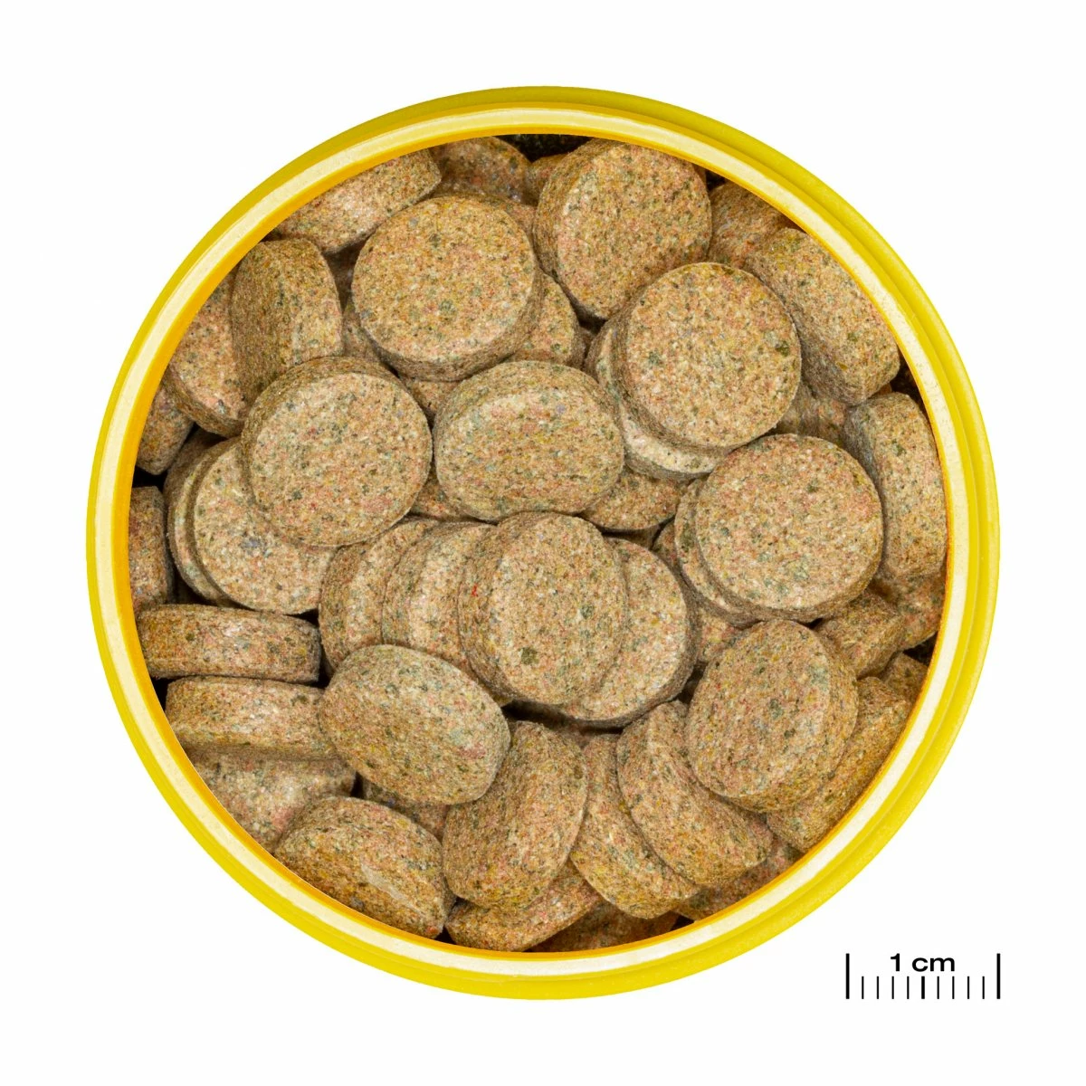 JBL Pronovo Tab M Per Tutti I Pesci D'acquario 2 JBL Pronovo Tab M Per Tutti I Pesci D'acquario - immagine 2