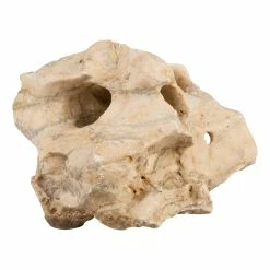 Sera Rock Hole Stone Rocccia Naturale Beige Per Aquascaping