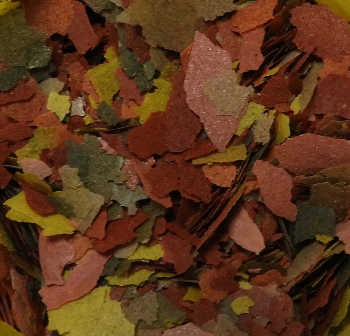 Aime Alimento Completo Per Pesci Esotici A Scaglie 4 Aime Alimento Completo Per Pesci Esotici A Scaglie - immagine 4