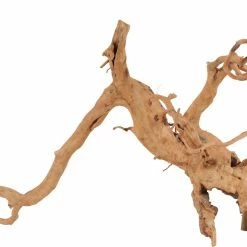 Zolux Radici Ragno Per Acquario - Diverse Taglie Disponibili -Acquaristica negozio la 533df877f3865752637daa540ea9cbc474f1626782263