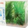 Zolux Plantkit Jalaya 6 Piante