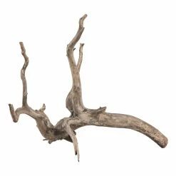 Sera Scaper Root Radici Naturali Per Aquascaping -Acquaristica negozio la 903aa169b49b583a2b5af89203c2b78c67c1652110090