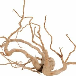 Zolux Radici Ragno Per Acquario - Diverse Taglie Disponibili -Acquaristica negozio la 9138b5040a8a5baf3e0e67386c2e3a9b9031626782262