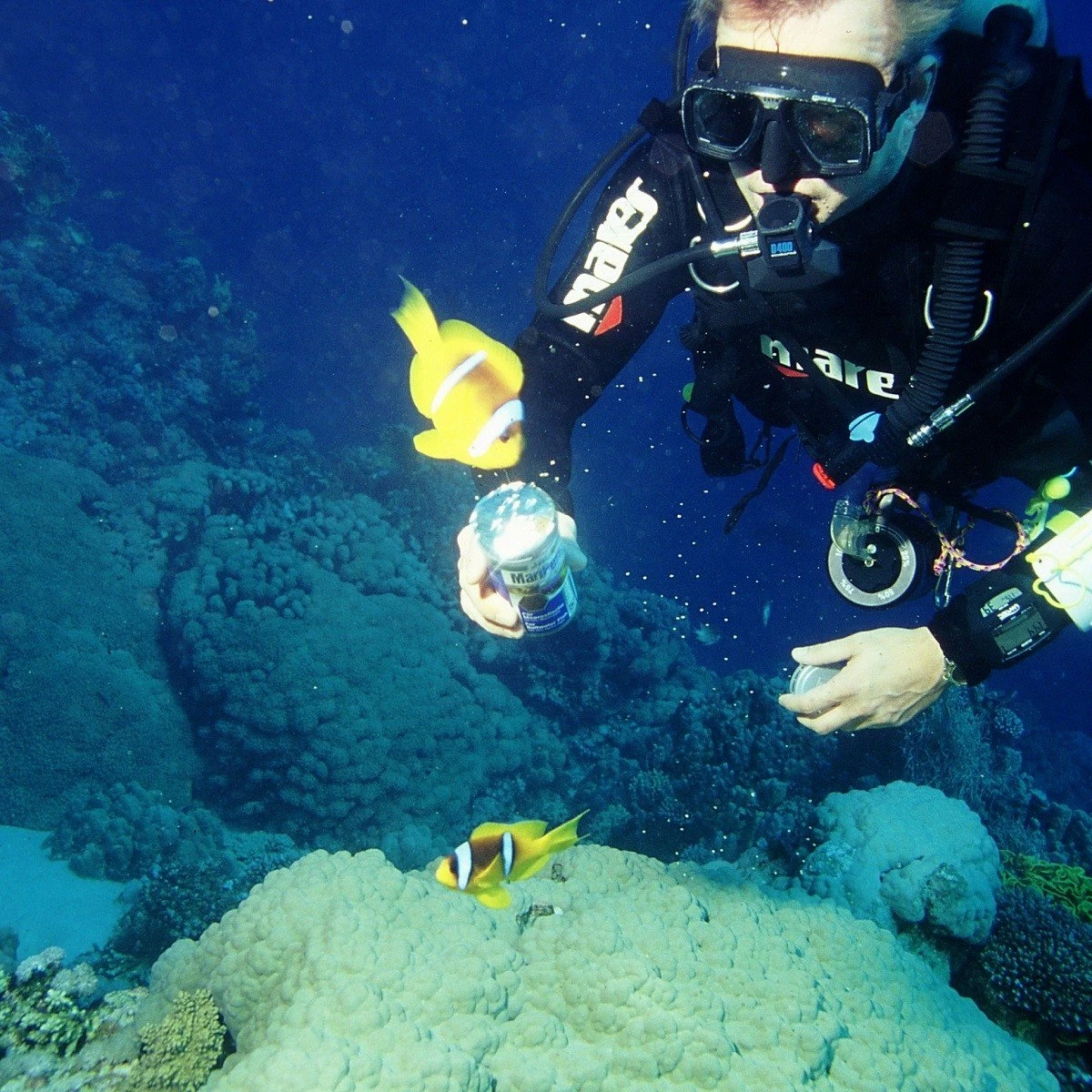 JBL MariPearls Perline Alimentari Per Animali Marini 7 JBL MariPearls Perline Alimentari Per Animali Marini - immagine 7