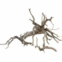 Sera Scaper Root Radici Naturali Per Aquascaping -Acquaristica negozio la 94f4b9ec30ad9f68f89b29639786cb62ef1652110094