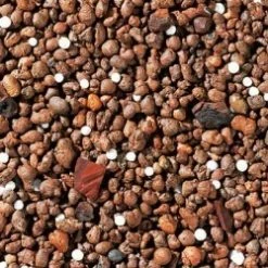 Zolux Resifilt'cleanwater Depuratore D'acqua E Anti-alghe -Acquaristica negozio la resifilt cleanwater purificateur d eau et anti algues 8219